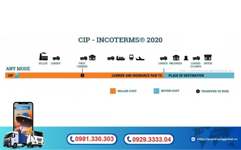 Điều kiện CIP là gì?