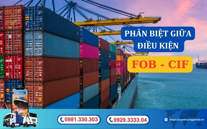 Phân biệt điều kiện FOB và CIF với các tiêu chí cơ bản