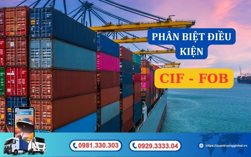 Phân biệt điều kiện CIF và FOB