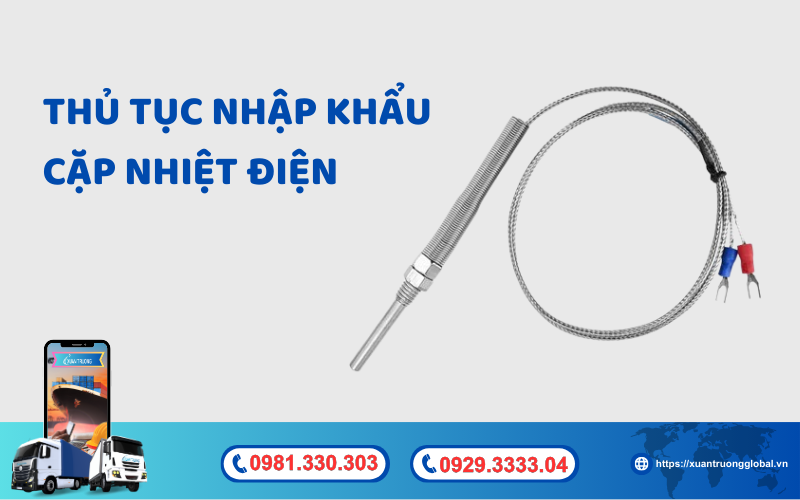 Thủ tục nhập khẩu cặp nhiệt điện về Việt Nam mới nhất